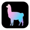 LlamaIndex