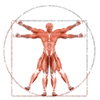 Dr. Muscle